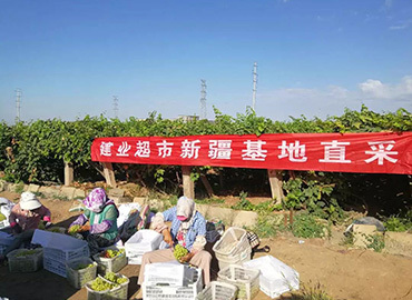 生鮮源頭采購(gòu)